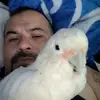 Lance Medina - @lmedina5150 - TikTok