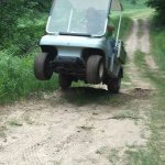 Lance Mercer - @lancerdog - Instagram
