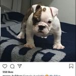I - @lance.mitchell.583671 - Instagram
