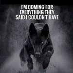 Lance Mitchell - @lance.mitchell.9809 - Instagram