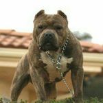 Lance Mitchell - @lance.mitchell.98096 - Instagram
