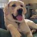 Lance Moser - Facebook