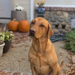 Lance Moses - @jocpisthebest - Instagram