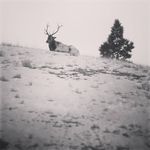 Lance Murphy - @lance.murphy.71066 - Instagram