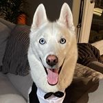 Lance Murphy - @lance_ayyy_lot - Instagram