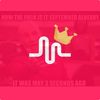 Musicaly - @lance_muser - TikTok