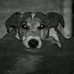 Lance Neal - Facebook