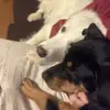 Lance Neal - @lance.neal - TikTok