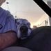 Lance Olson - Facebook