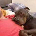 Smokeys Dad - @lancepants1 - Instagram