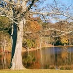 @lanceparks_67 - Instagram