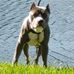 Lance Parrish - Facebook