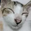 @lance(*_*) - @lanceperonerfed - TikTok