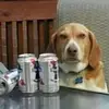 Lance - @lance.peterson - TikTok
