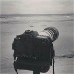 Lance Peterson - @lancepetersonphoto - Instagram