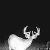 lancepeterson48 - @lancepeterson48 - TikTok