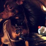 Lance Hershey Pierce - @lancepierce01 - Instagram