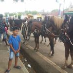 lance Ramírez - @lanceramirez2 - Instagram