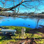 Lance Loschert - @lancerandy - Instagram