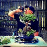 Lance Richards - @aussie_roamers_bonsai - Instagram