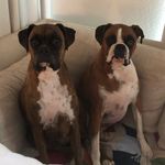 @lance.riddle - Instagram