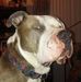 Lance Roe - Facebook