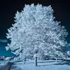 Zayyan_Aryan - @lance_sampless - TikTok