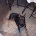 Lance Schlinz - Facebook
