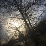 Lance Schmidt - @smallimpact20 - Instagram