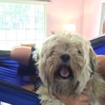 @lanceshapiro - Instagram