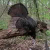 Lance smith - @lance.smith16 - TikTok