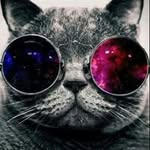 Lance Steenkamp - @lancealotsteenkamp - Instagram
