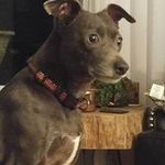 Lance Stock - @lancerstock - Instagram