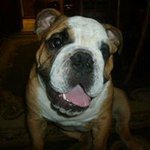 Lance Thomason - @lance.thomason - Instagram