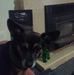 Lance Timmins - Facebook
