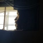 Lance Wade Goodwill - @goodwilllance3 - Instagram
