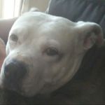 Lance Wagner - @lance.wagner.503 - Instagram