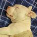 Lance Watson - Facebook