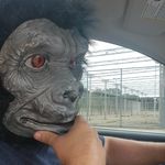 Lance Walters - @walterslance - Instagram