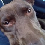 Lance Warren - @lance_warren_ - Instagram