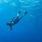 Lance Waters - @lance.waters77 - Instagram