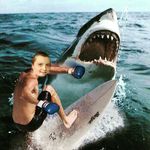 Lance Weaver - @lanceweaver13 - Instagram