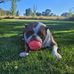 Lance Whitmore - Facebook