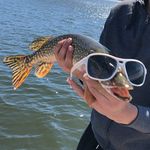 Lance Wiebe - @lancedwiebe - Instagram
