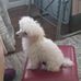 Lance Willard - Facebook