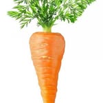lance  wright - @_the_real_carrot - Instagram