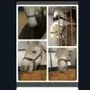 Lance Wynne - @lancewynne2625 - TikTok