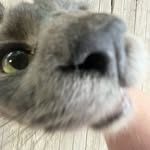 Landen Rogers - @landen.cr1018 - Instagram