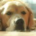 Lander Brown - Facebook