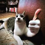 Landon Austin - @austinlandon256 - Instagram